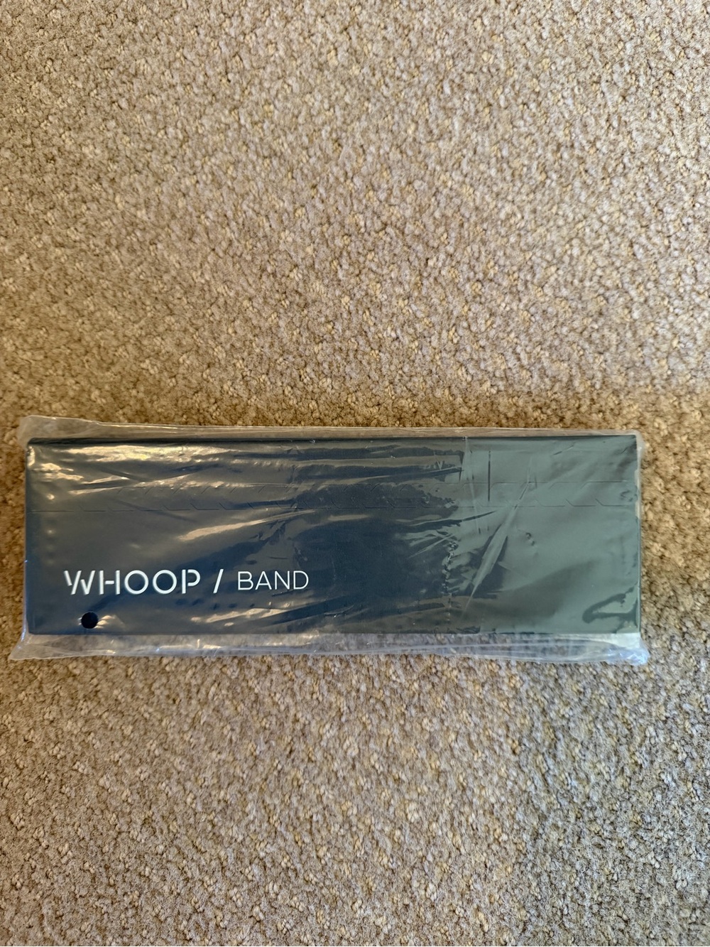 WHOOP 4.0 Hydroknit Band Tidal BNIB